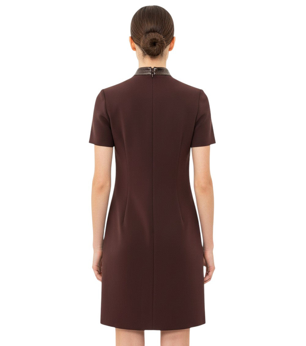 Brown Mock Collar Dress 4
