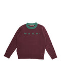 Boys Maroon Logo Sweater 1