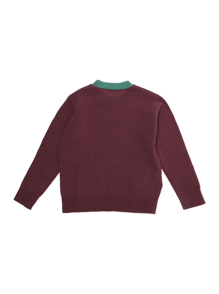Boys Maroon Logo Sweater 2