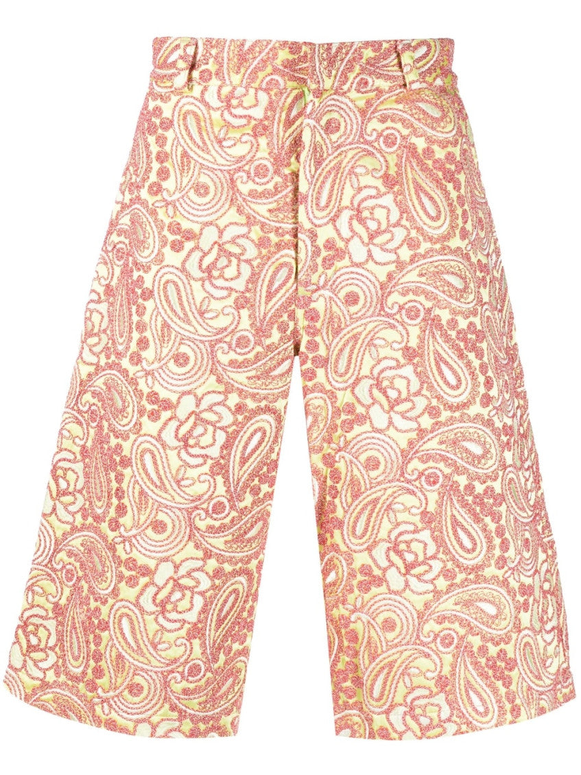 Multi color All Over Embroidered Shorts 1