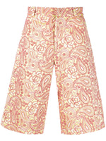 Multi color All Over Embroidered Shorts 1