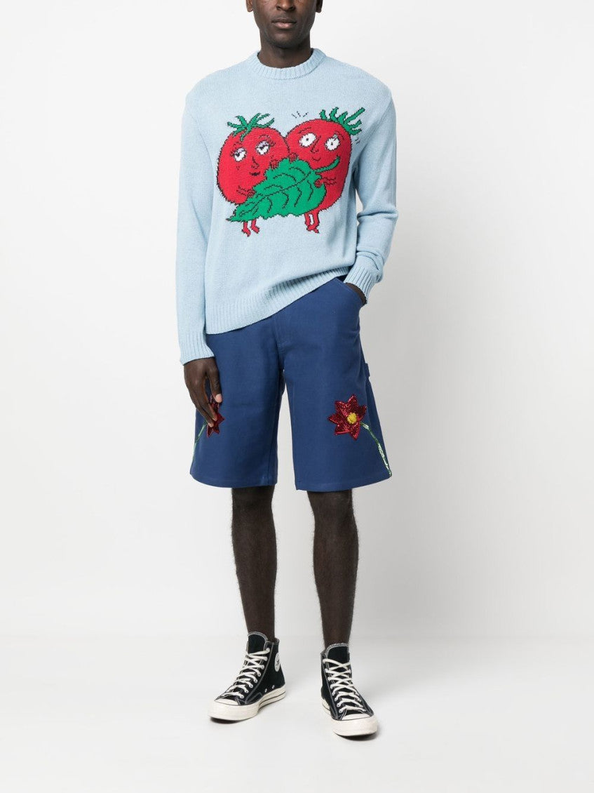 Blue Embroidered Denim Shorts 3