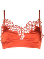 Triangle lace bra 1