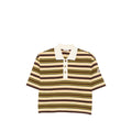 Brown Stripes Shirt Collar Polo 1