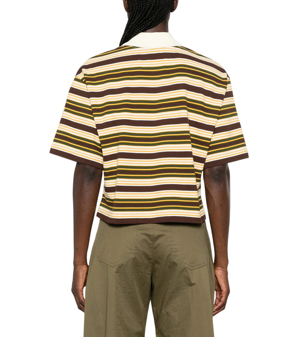 Brown Stripes Shirt Collar Polo 3