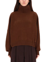 Brown Solid Turtle Neck Sweater 1
