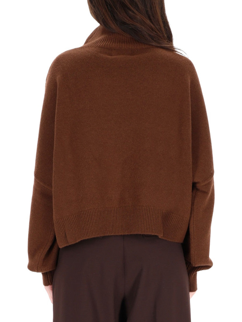 Brown Solid Turtle Neck Sweater 3