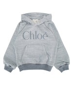 Kids Gray Logo Hoodie 1