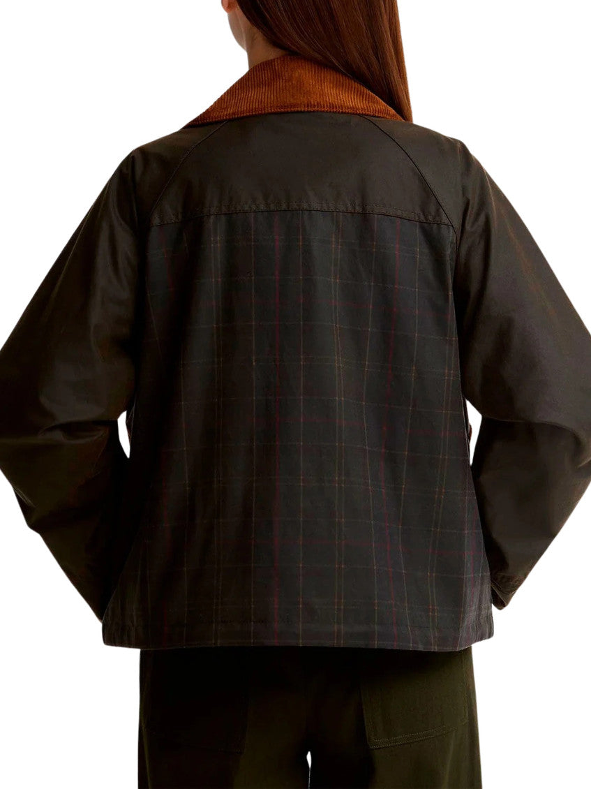 Multicolor Checks Shirt Collar Jacket 3