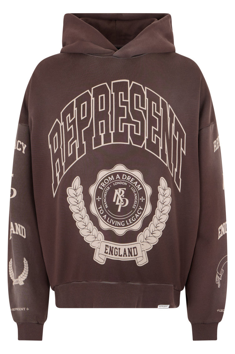 Brown Graphic Logo Hoodie 1