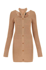 Biscuit mesh mini dress  1