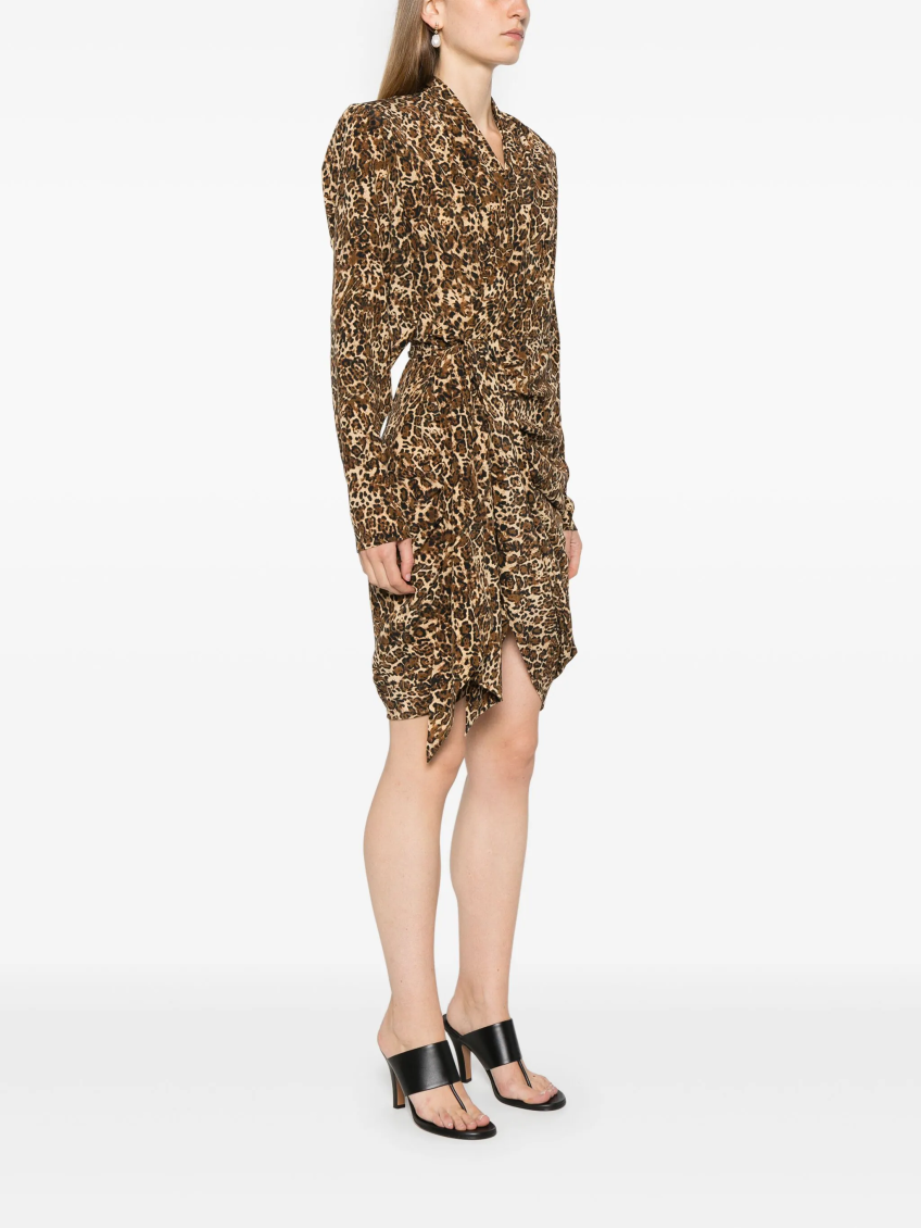 Leopard Print Cleora Mini Dress 3
