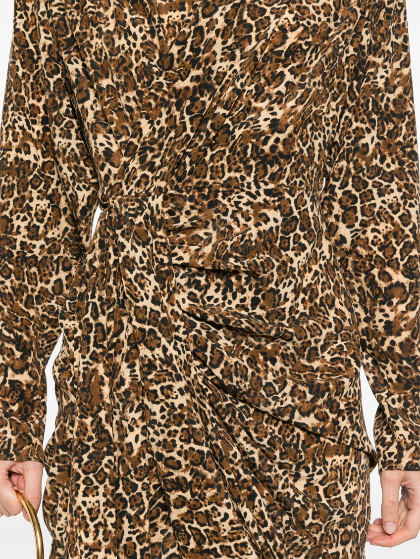 Leopard Print Cleora Mini Dress 5
