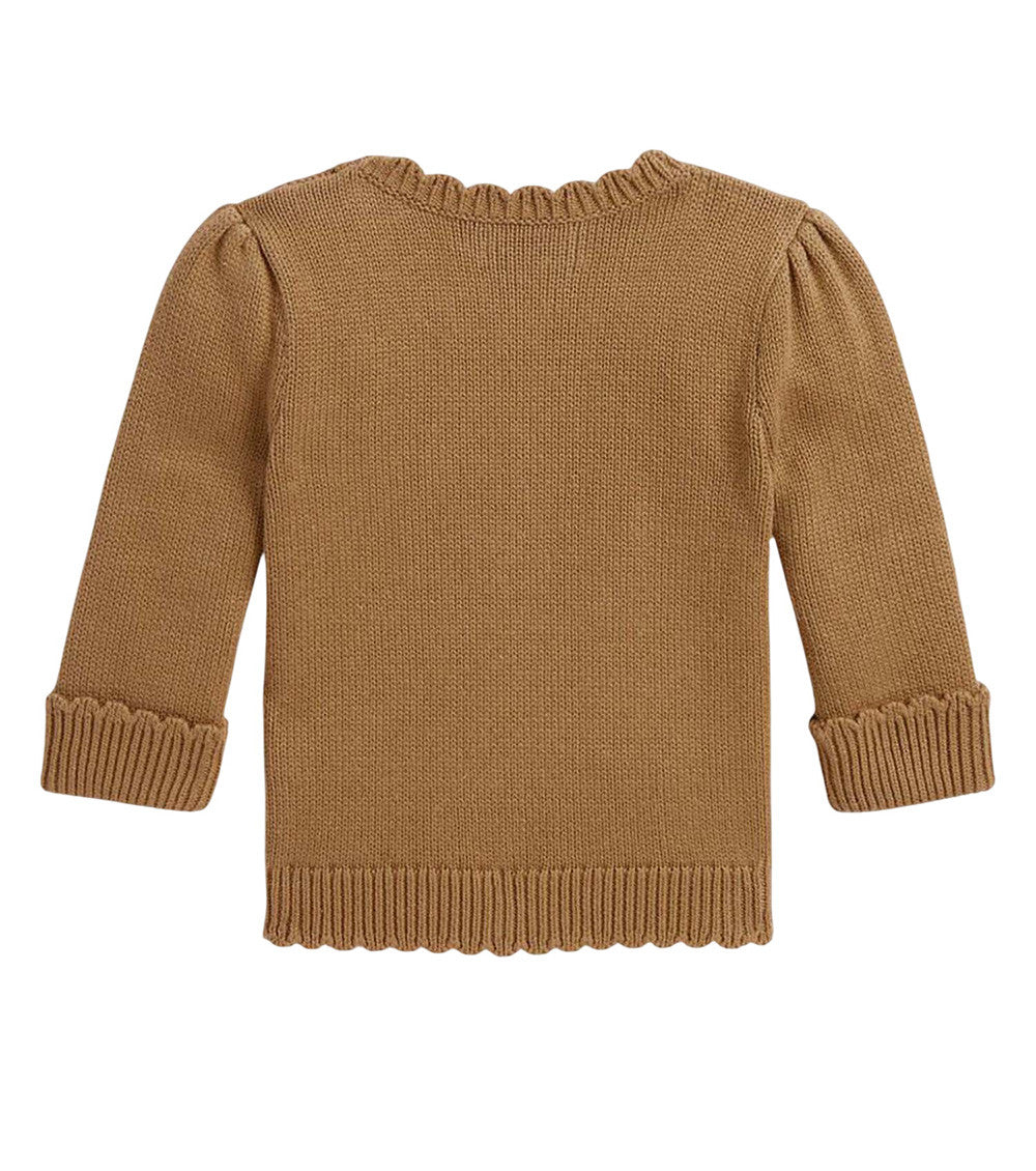 Baby Boys Brown Embroidered Sweater 2