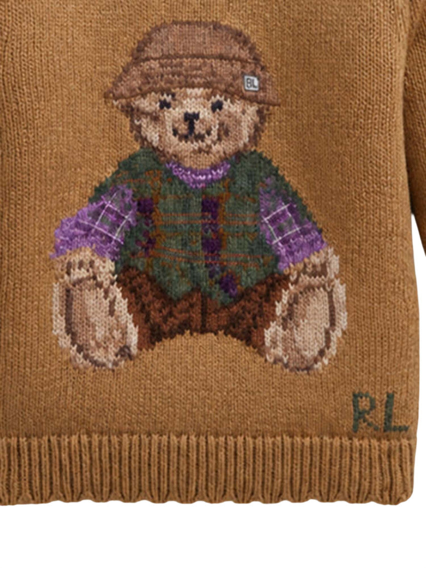 Baby Boys Brown Embroidered Sweater 3