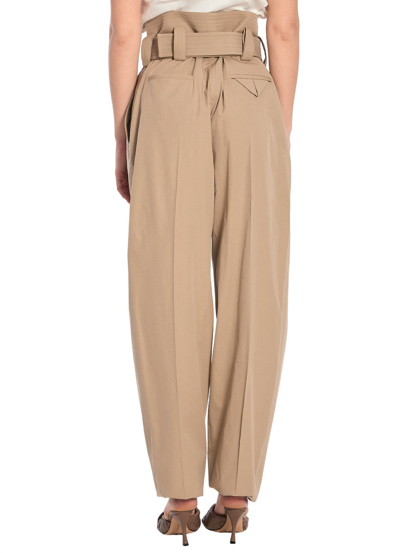 Beige Carrot Pleated Pants 2