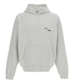 Light Grey Logo Hoodie 1