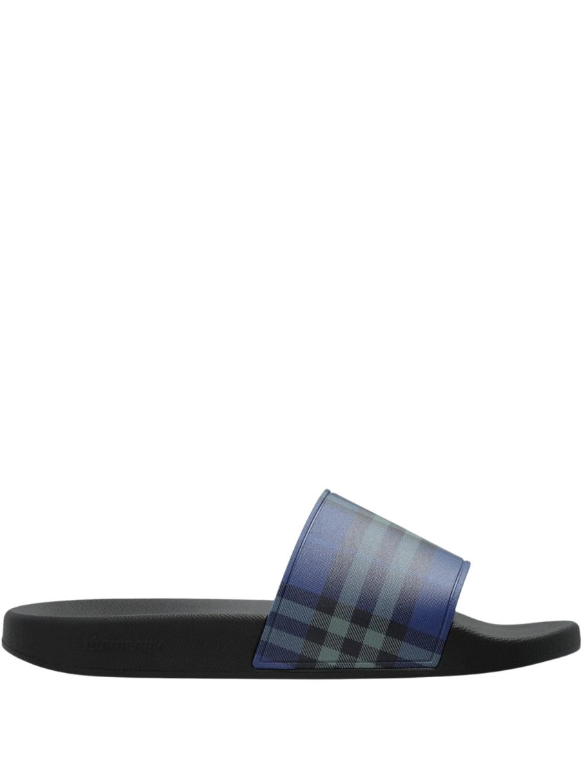 Blue Check Slides 1