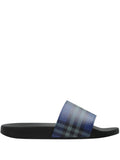 Blue Check Slides 1