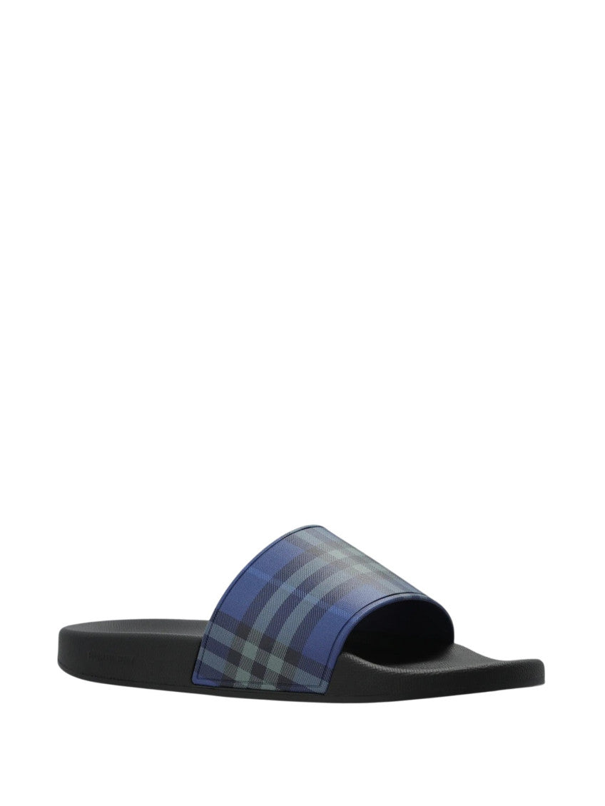 Blue Check Slides 2