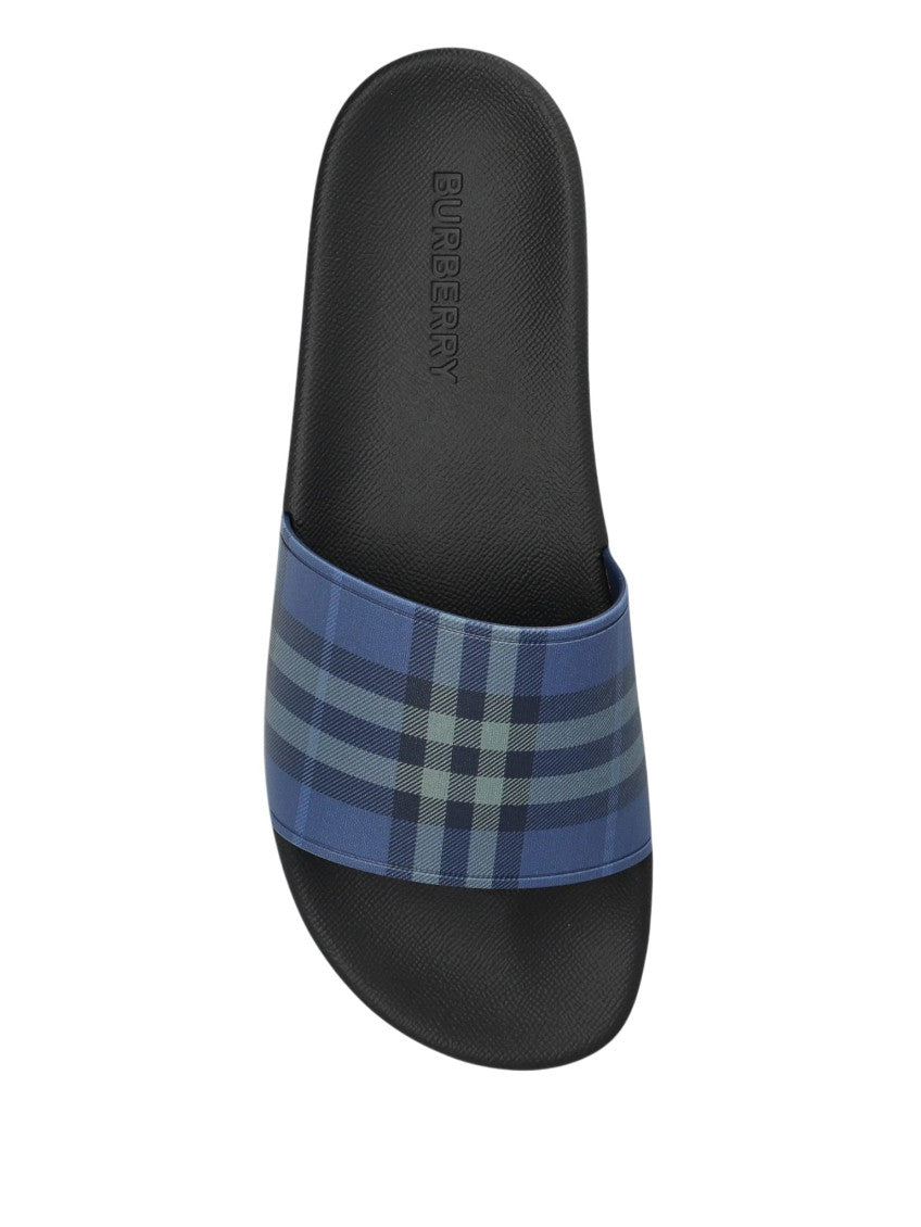 Blue Check Slides 3