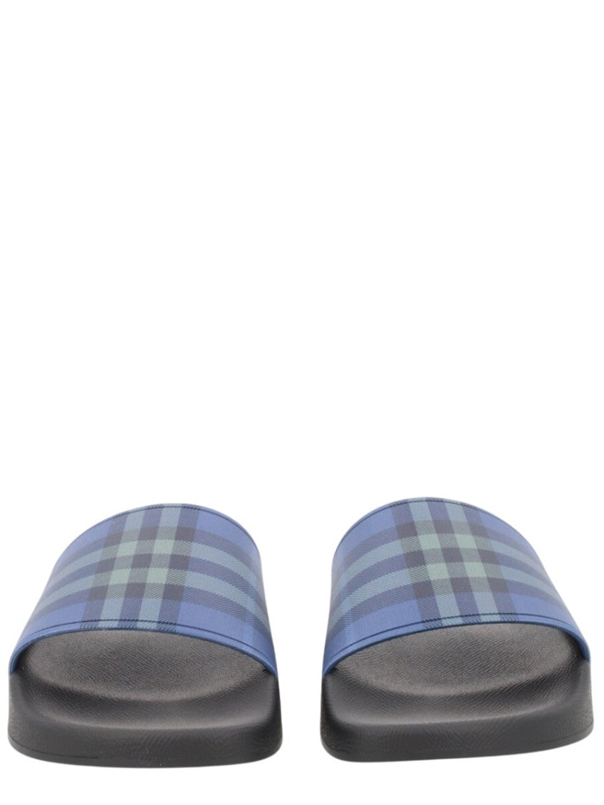 Blue Check Slides 4