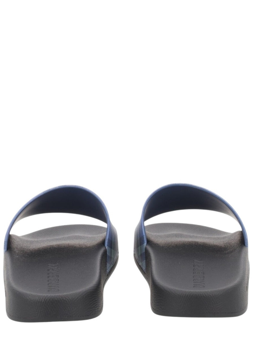 Blue Check Slides 5