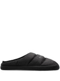 Black Alaska Slides 1