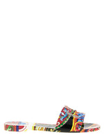 Multicolor Printed Slides 1