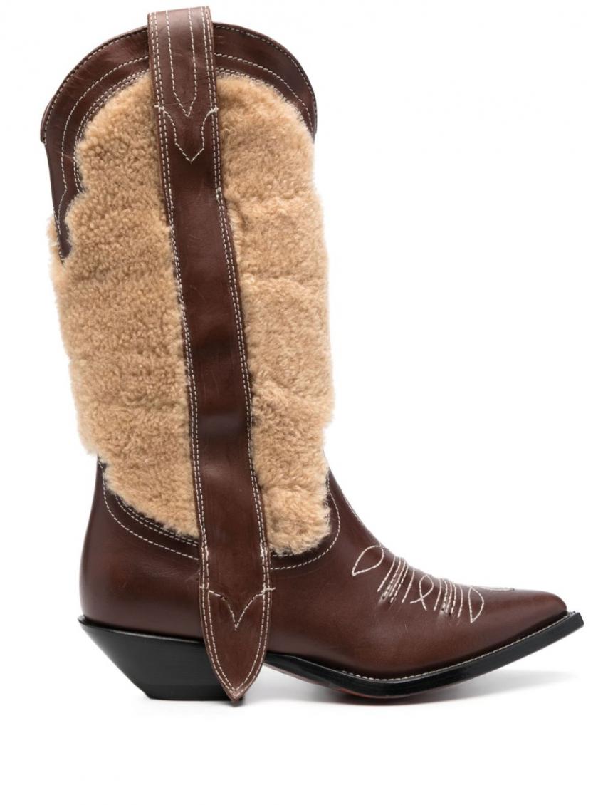 Brown Embroidered Leather Texan Boots 2