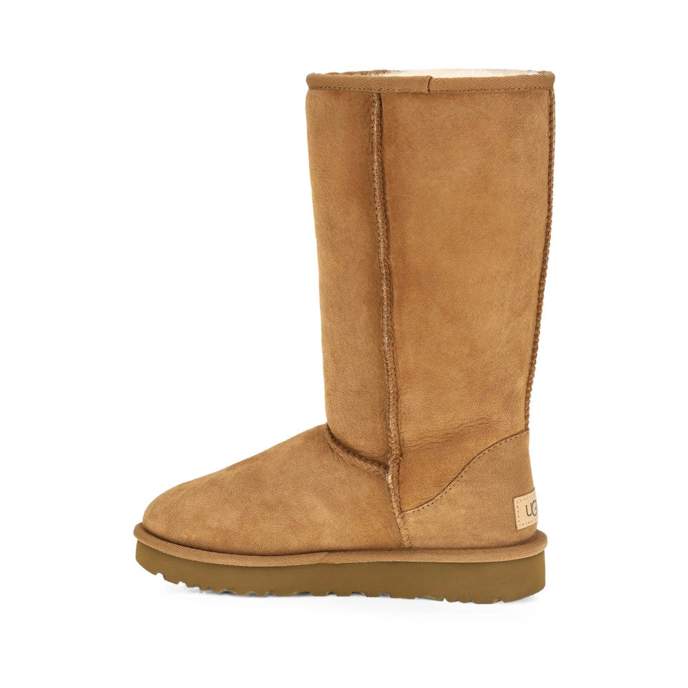 Brown Classic Tall Boots 3