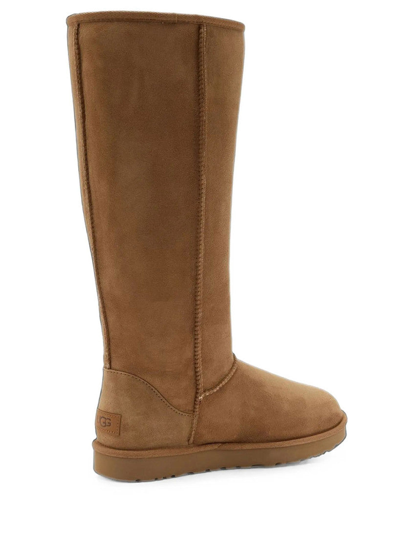 Brown Suede Classic Tall Boot 3