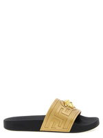 Golden Logo Slides 1