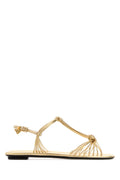 Golden Ankle Strap Sandals 1