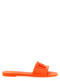 Orange Logo DG Slide 1
