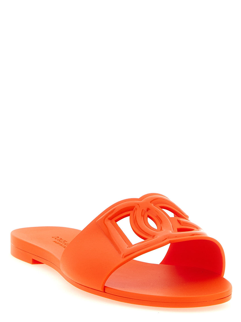 Orange Logo DG Slide 2