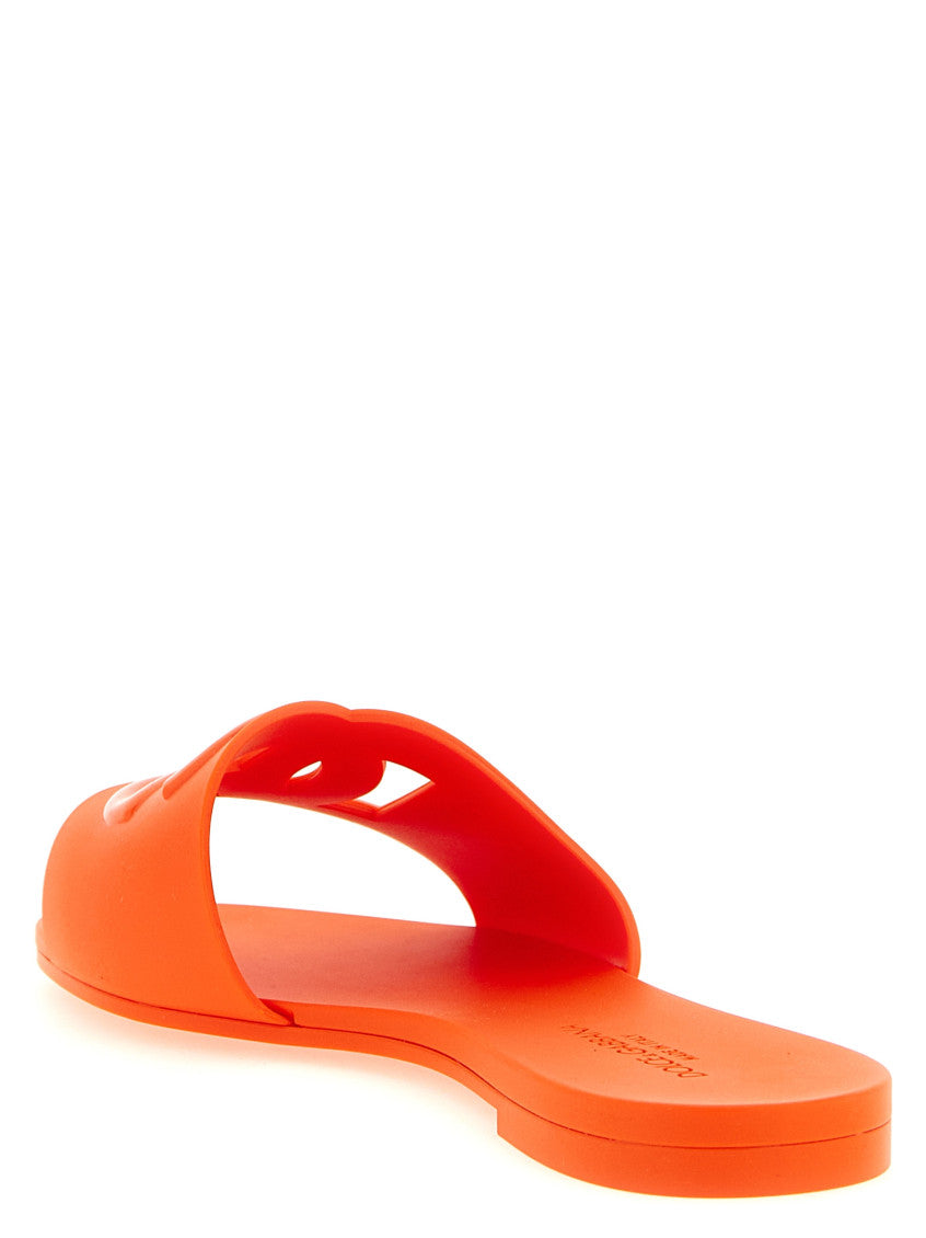 Orange Logo DG Slide 3