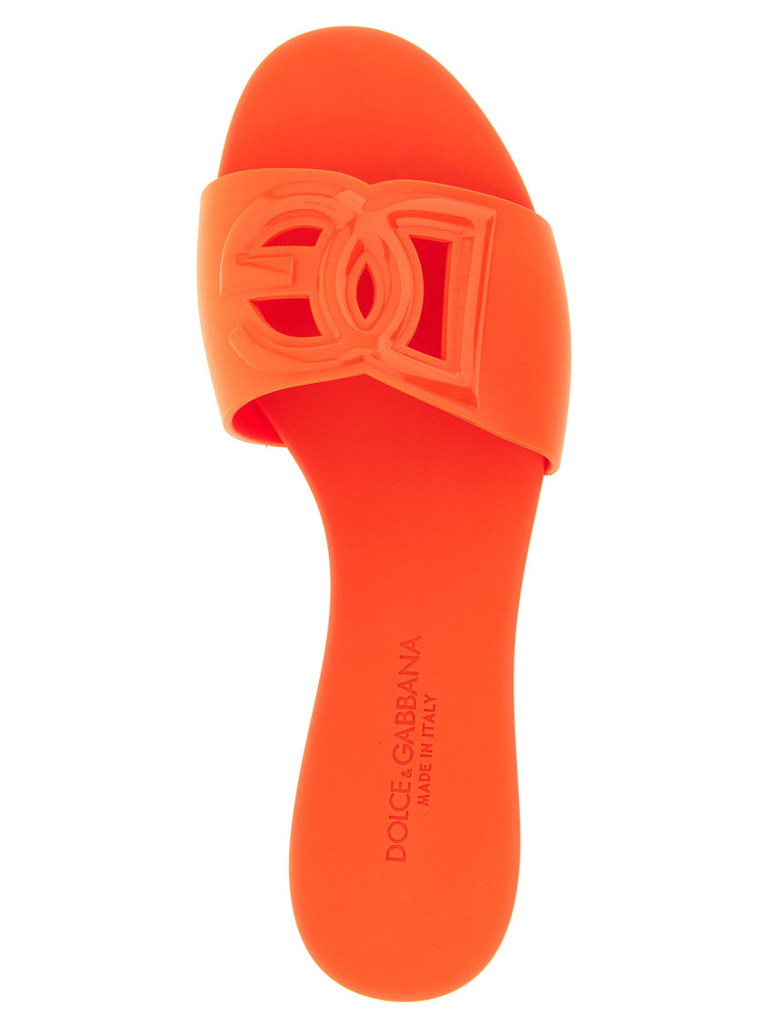 Orange Logo DG Slide 4