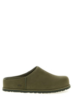 Green Solid Slides 1