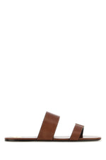 Brown Solid Slides 1