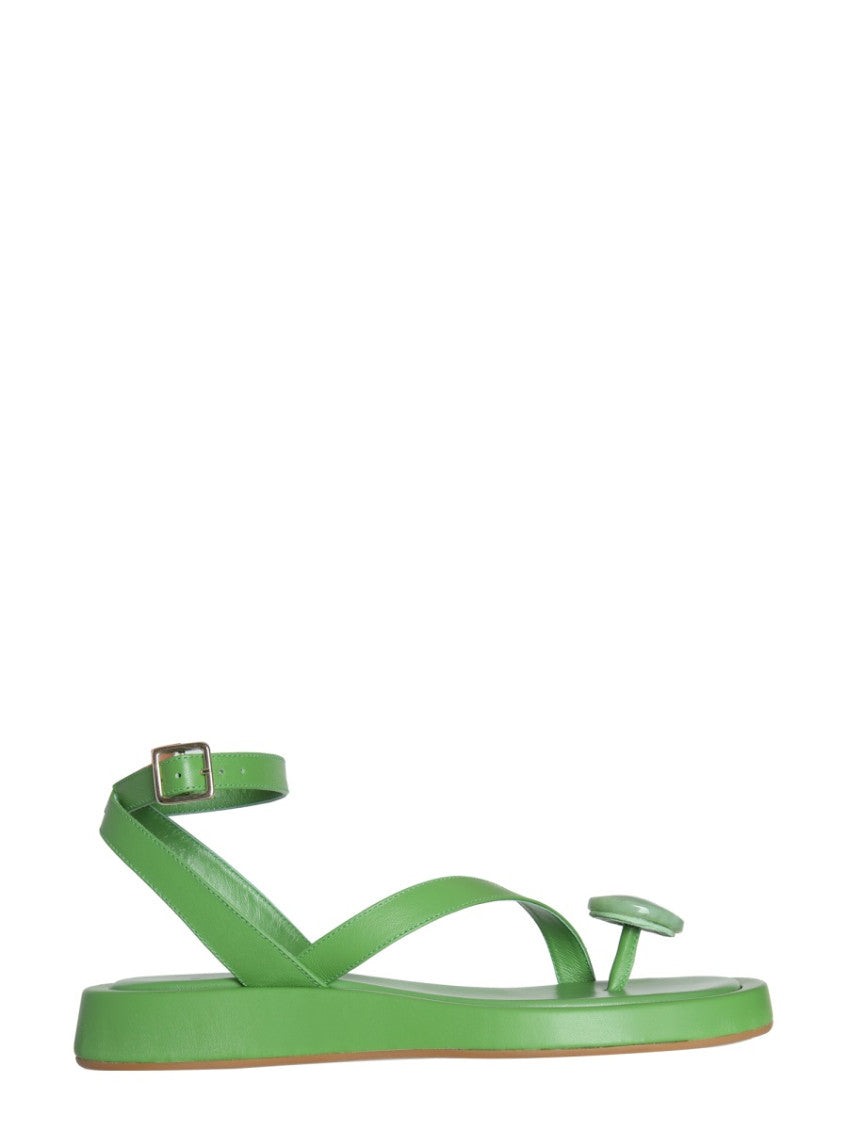 Green Solid Sandals 1