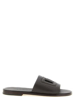 Brown Logo Slides 1