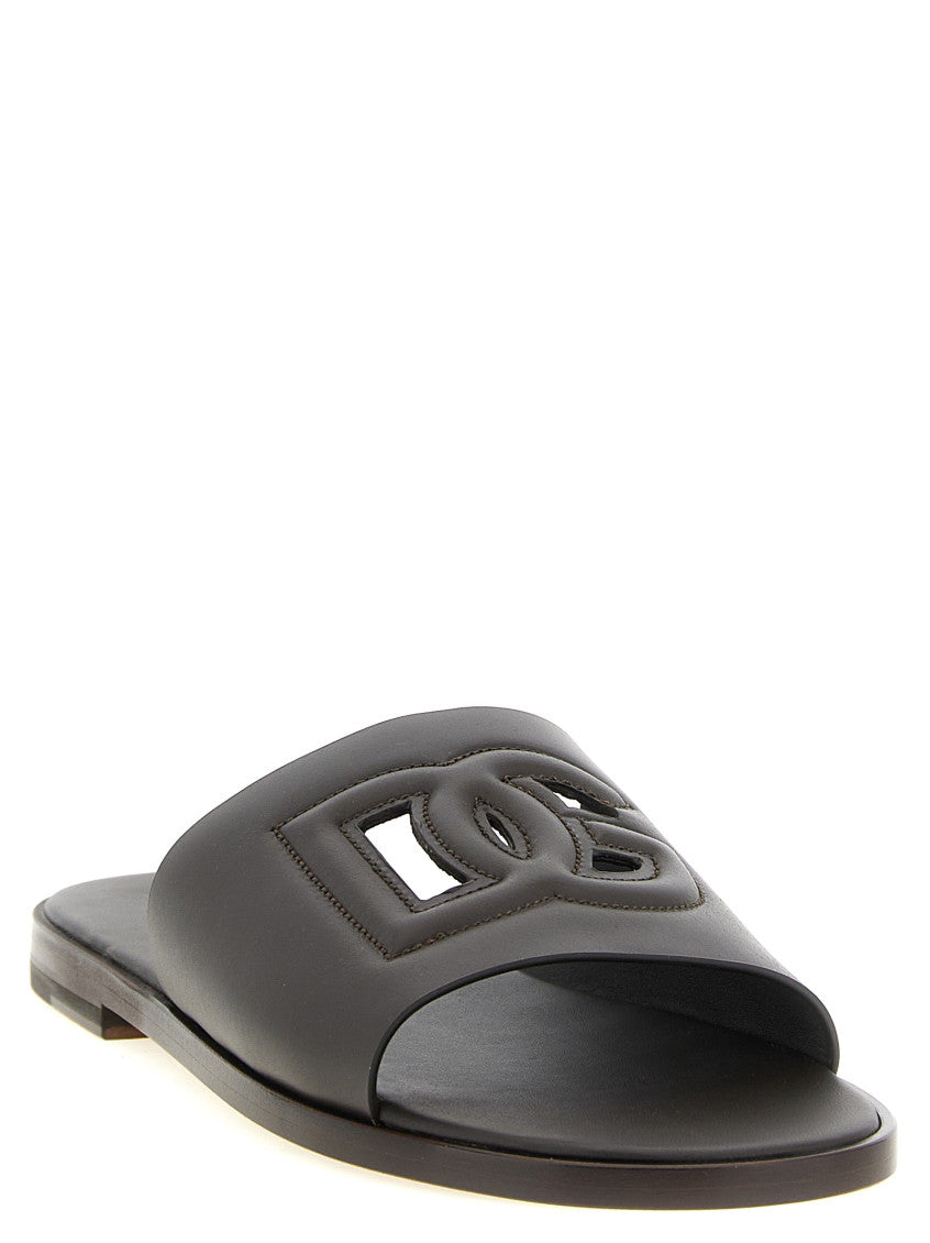 Brown Logo Slides 2